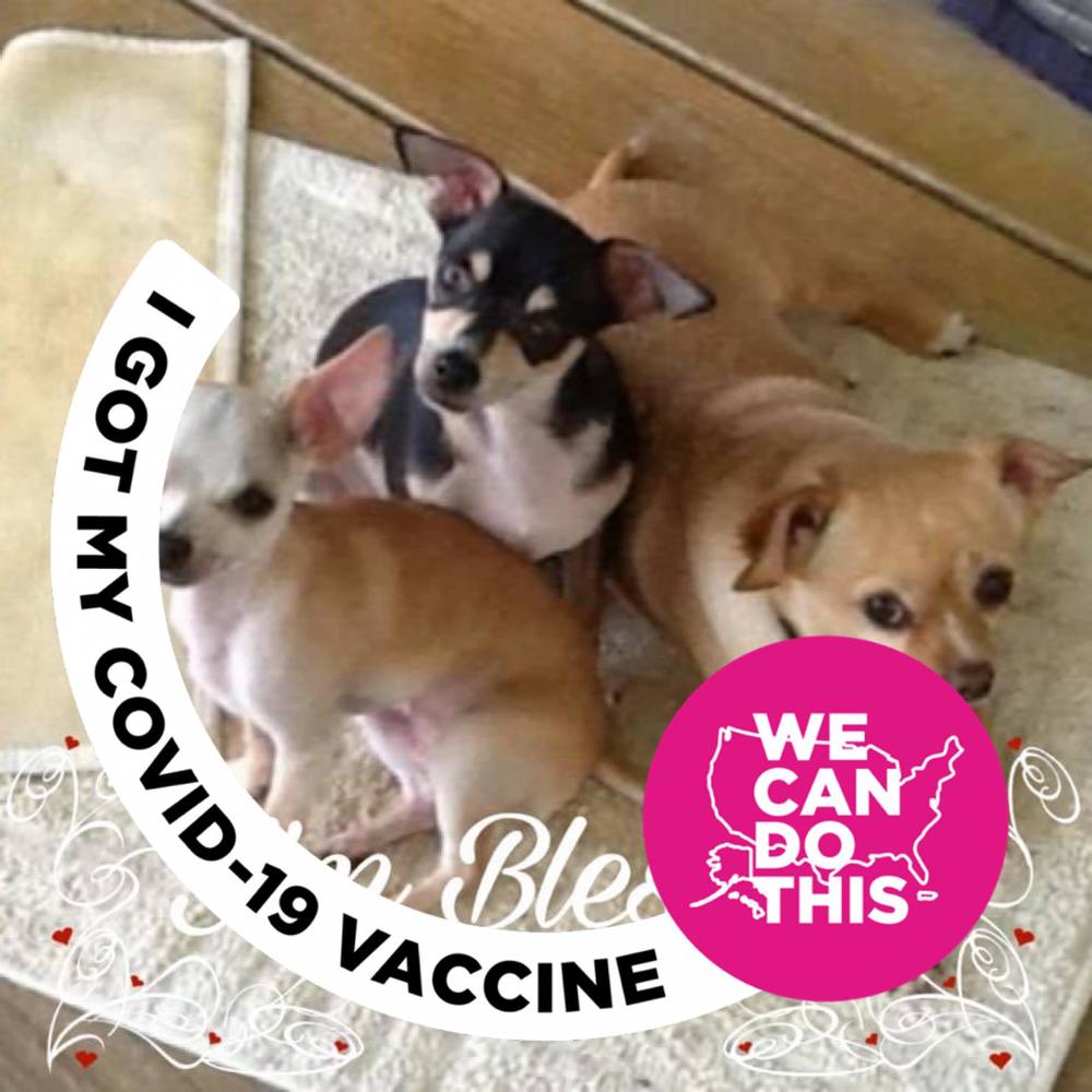 Meet your Posher, Lee